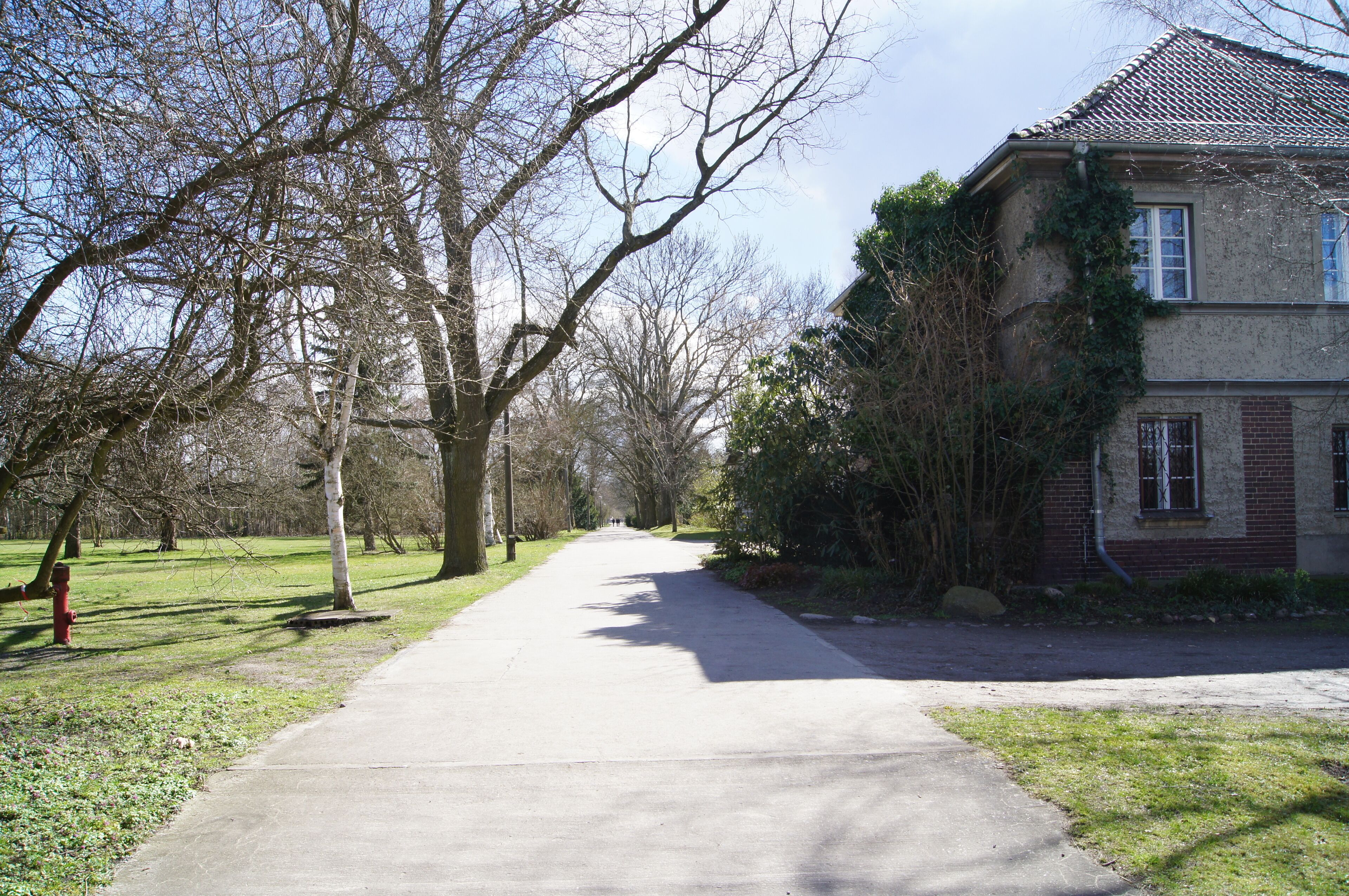 Botanischer Volkspark Blankenfelde-Pankow