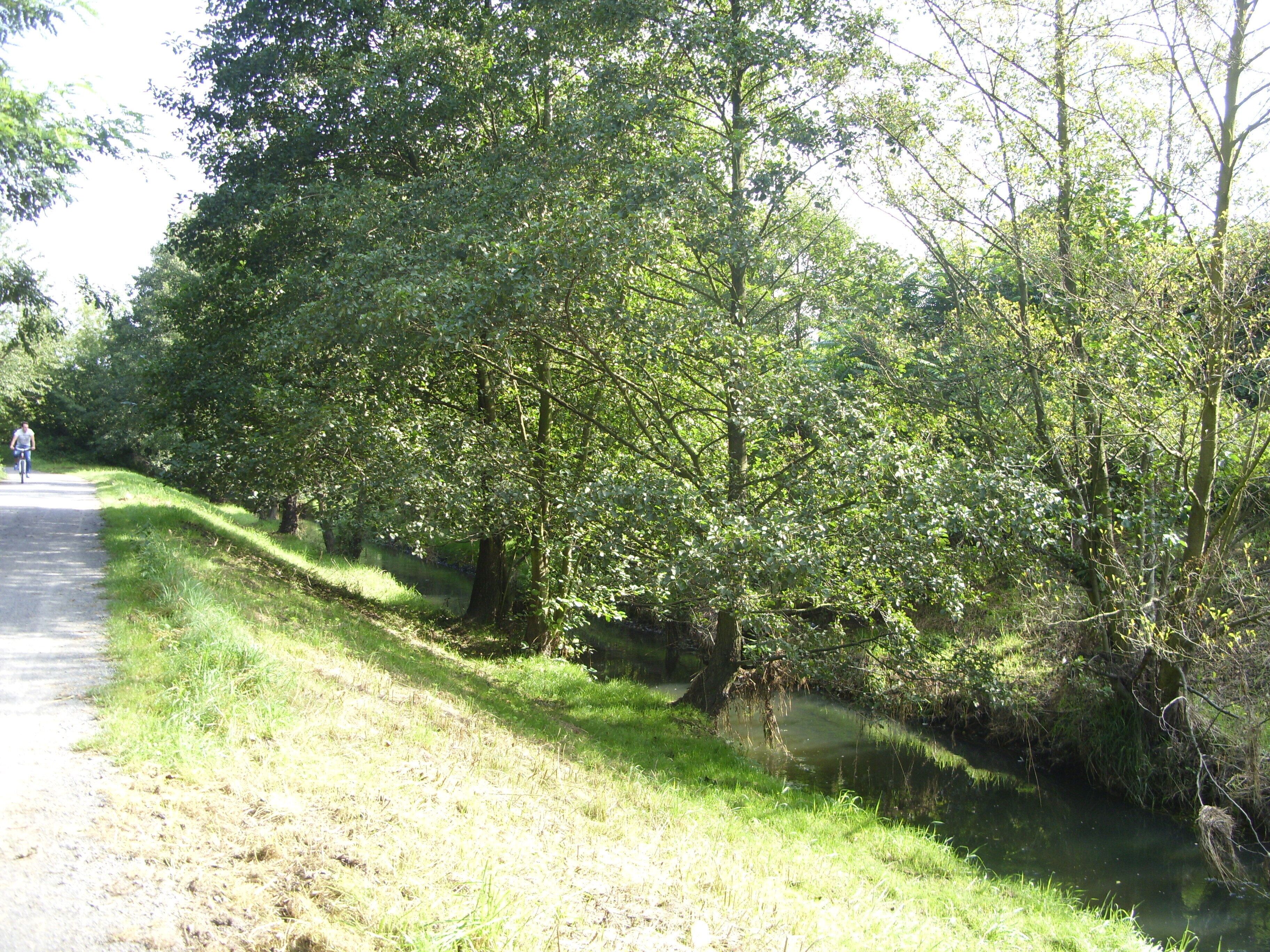 Französisch Buchholz