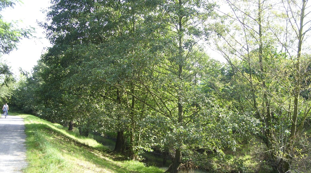 Französisch Buchholz