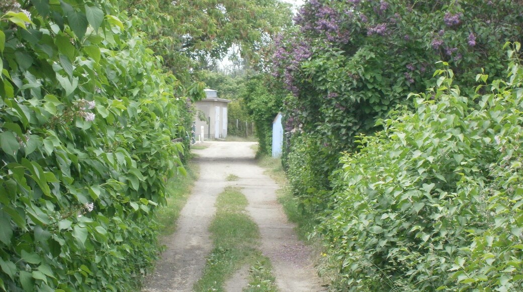 Prinzenapfelweg ist eine Straße im Ortsteil Berlin-Französisch Buchholz (hier in Blickrichtung: West)