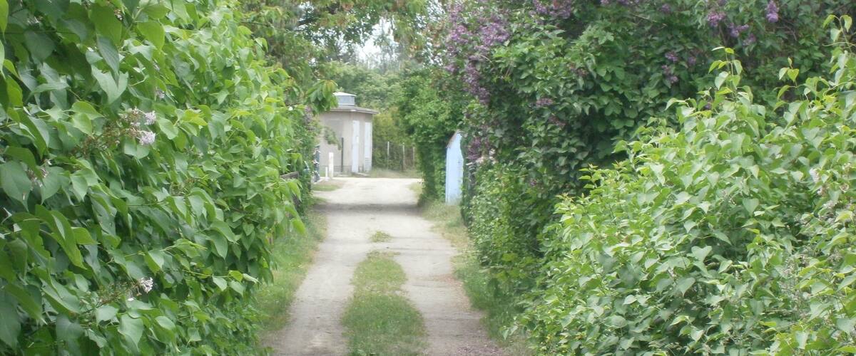 Prinzenapfelweg ist eine Straße im Ortsteil Berlin-Französisch Buchholz (hier in Blickrichtung: West)