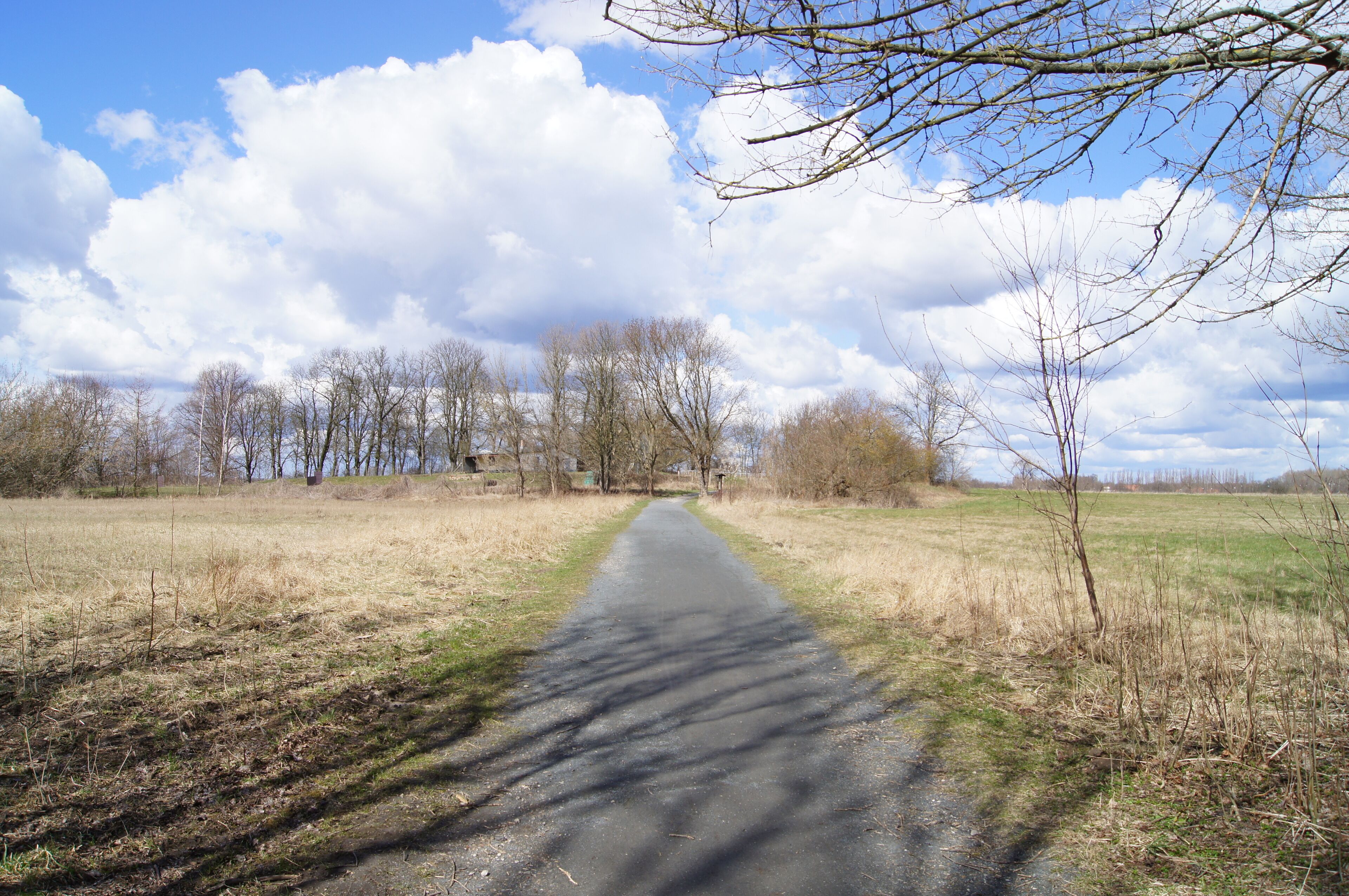 Botanischer Volkspark Blankenfelde-Pankow