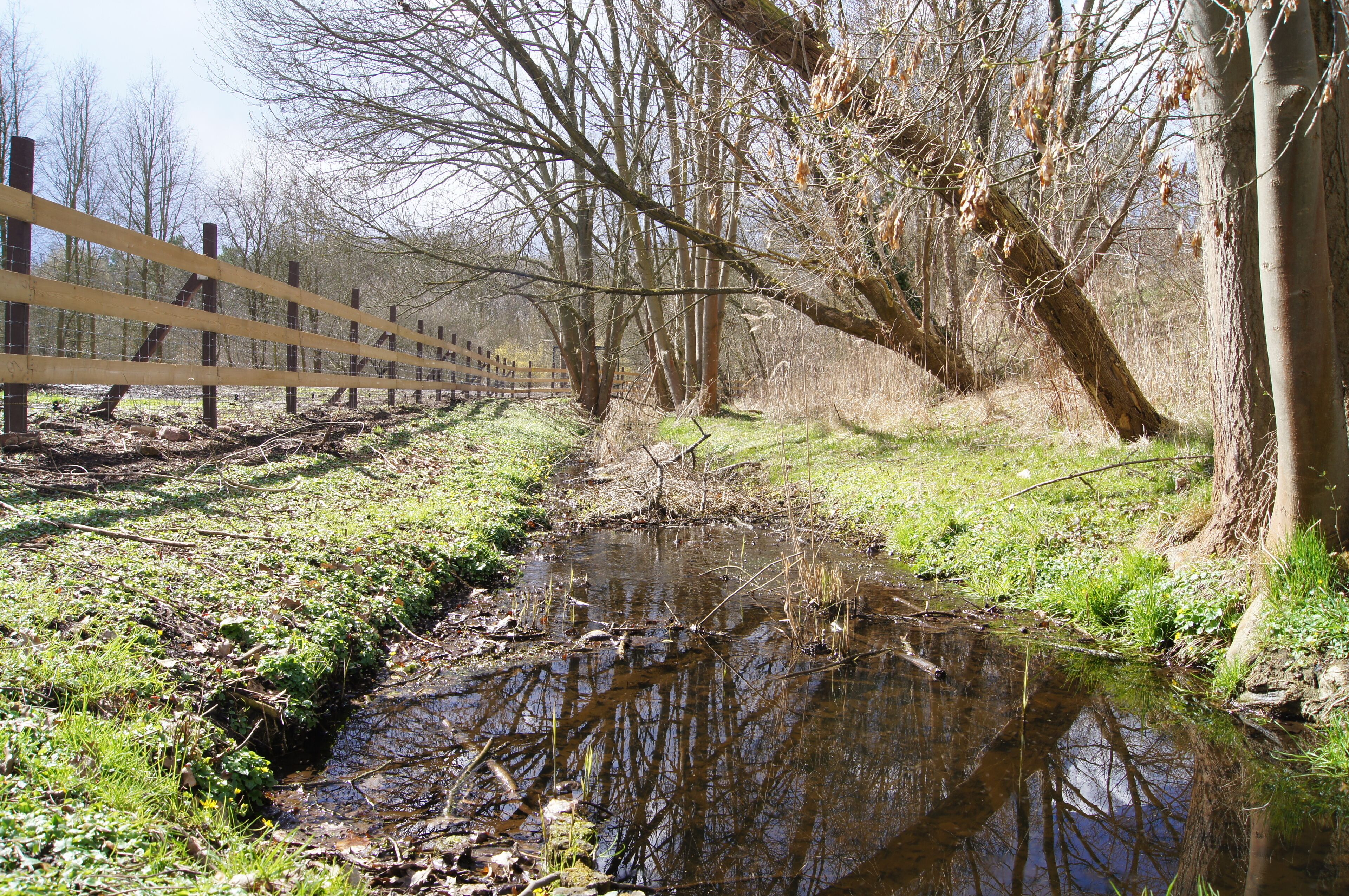 Botanischer Volkspark Blankenfelde-Pankow