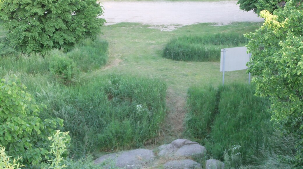 Naturdenkmal Großer Stein von Buchholz in Berlin, Blick von der Bucher Straße in süd-östlicher Richtung