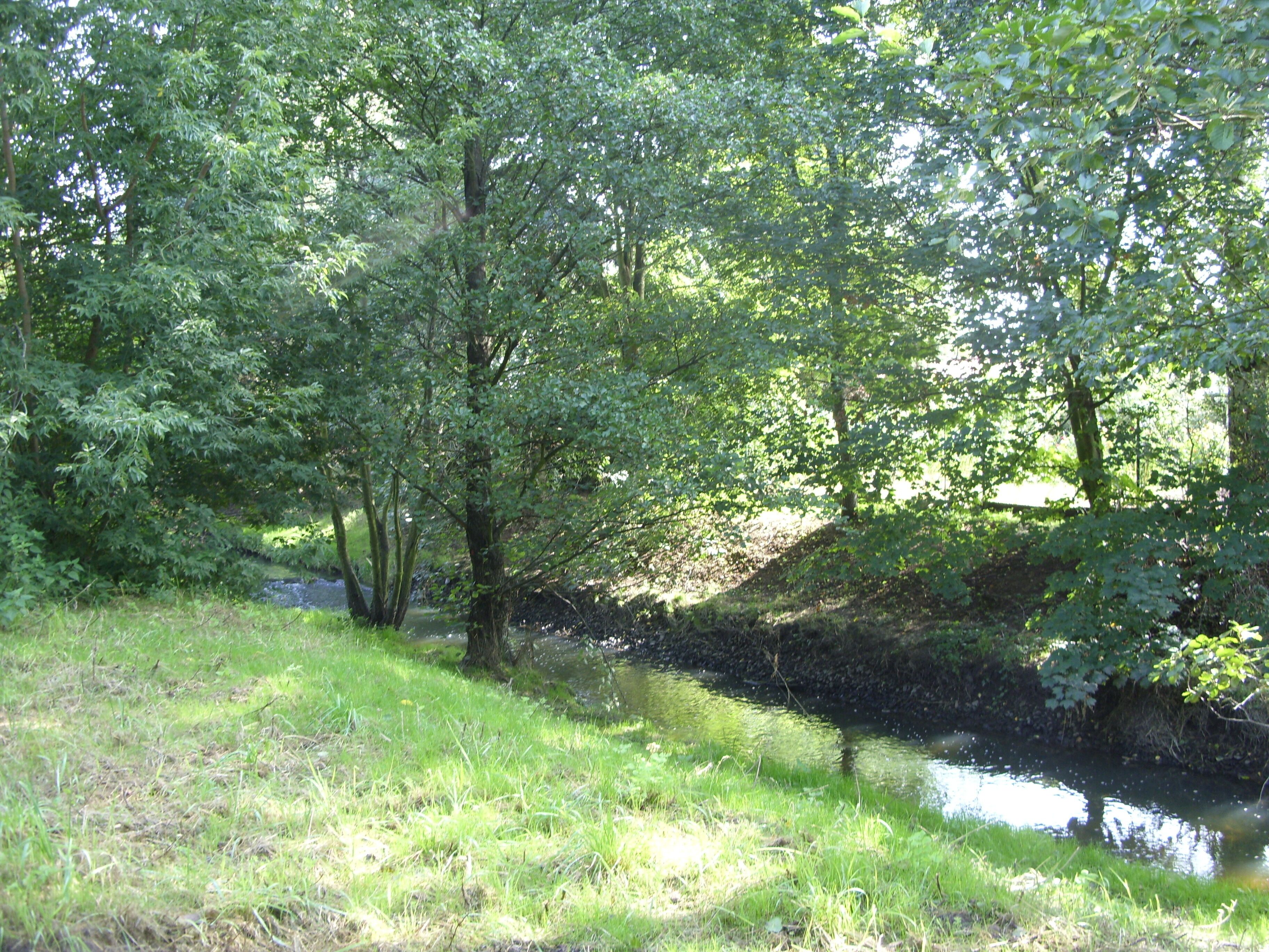 Französisch Buchholz