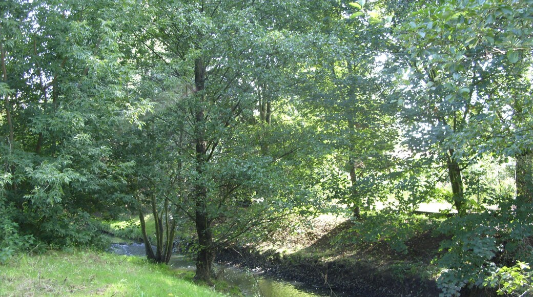 Französisch Buchholz