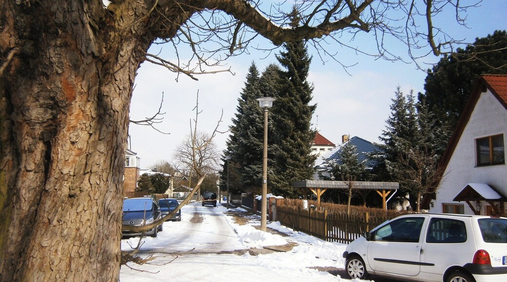 Margaretenaue ist eine Straße im Ortsteil Berlin-Französisch Buchholz (hier in Blickrichtung: Nord)