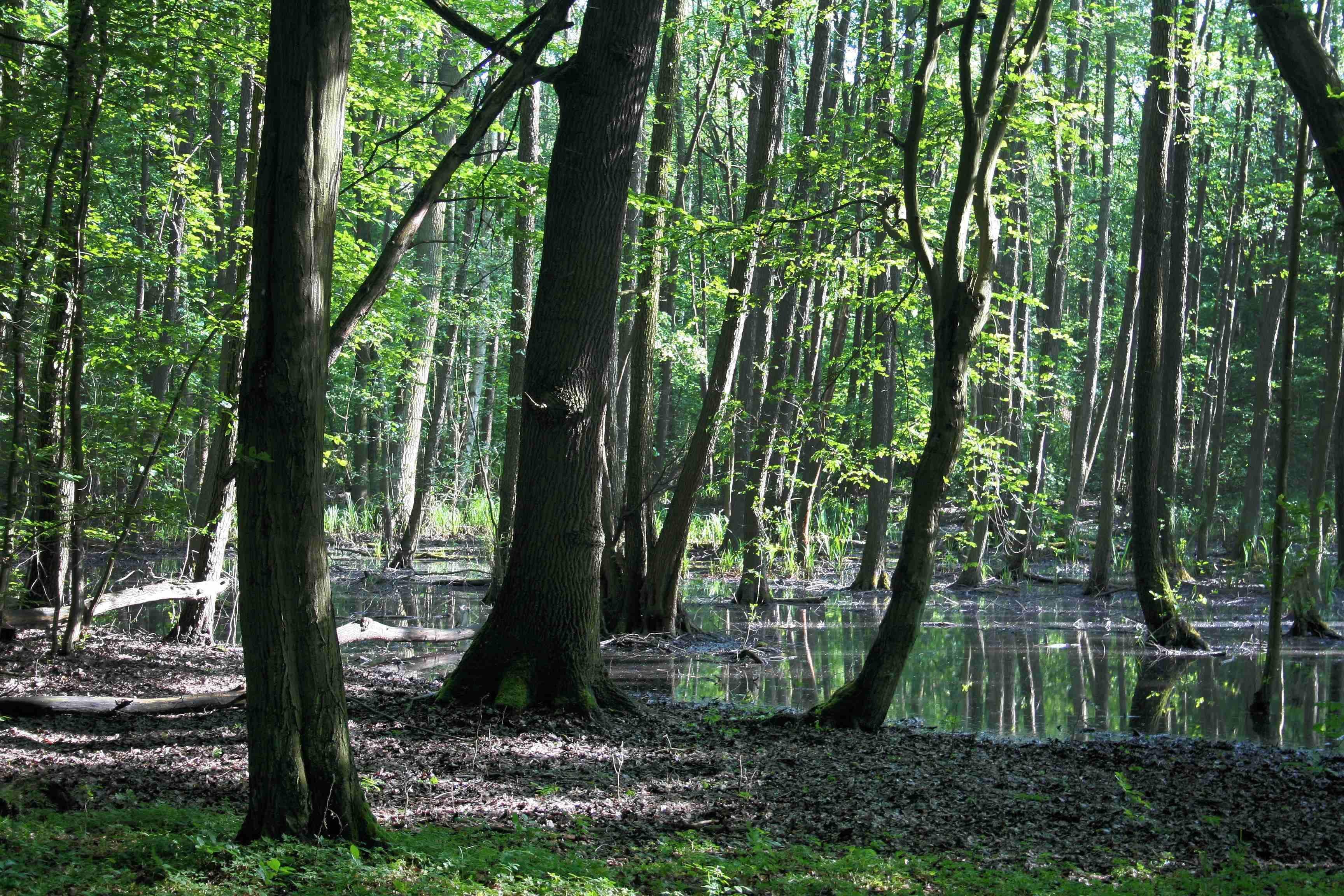 Nahe Berlin - Klinikum Buch