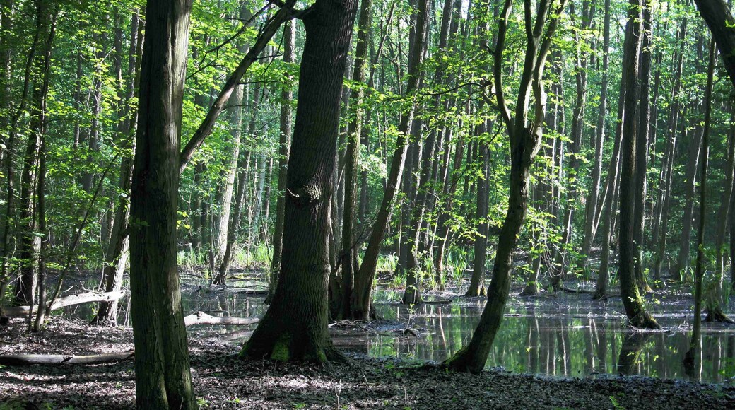 Nahe Berlin - Klinikum Buch