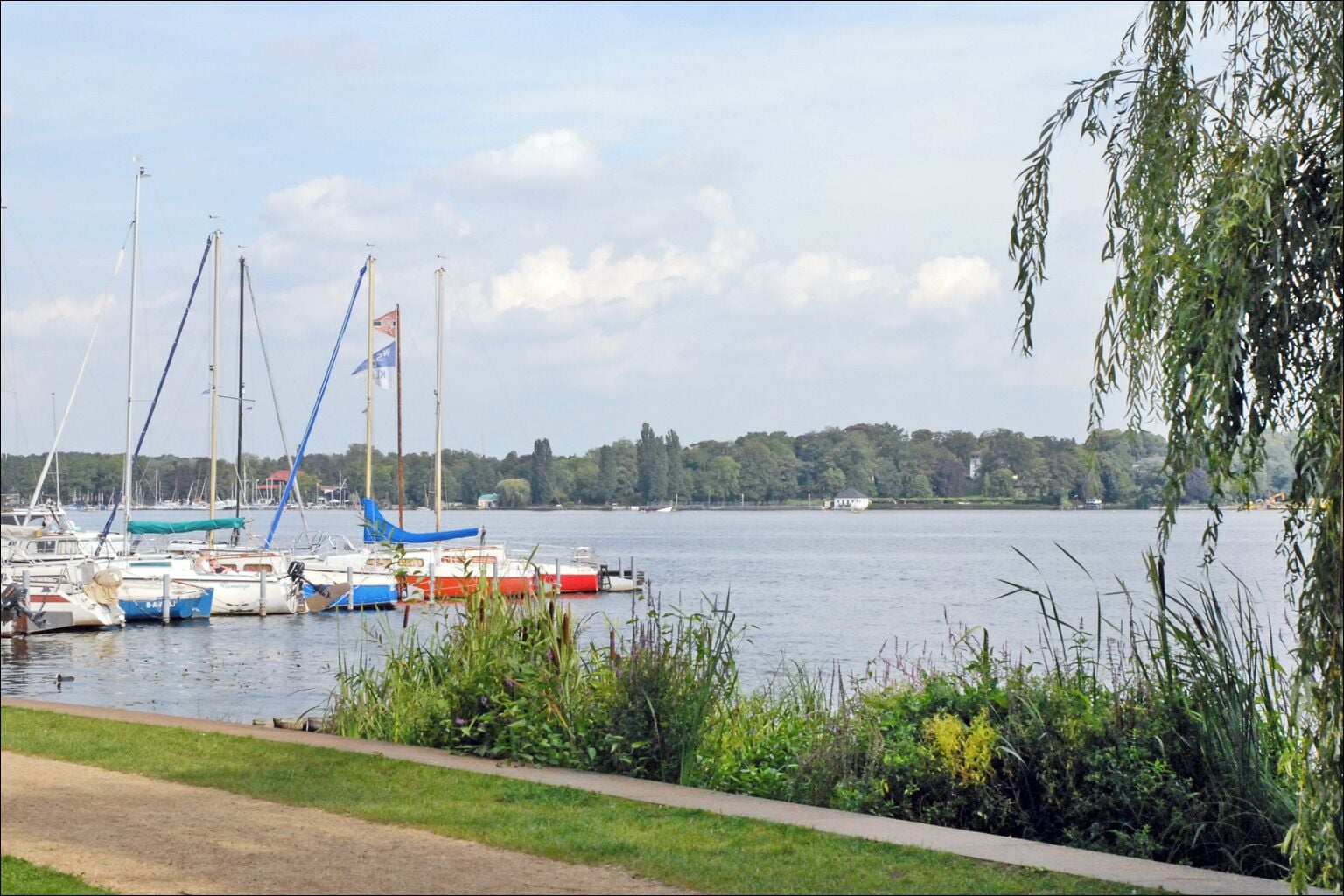 A marina with several sailboats docked, a grassy path along the water, and a forested shoreline in the background.