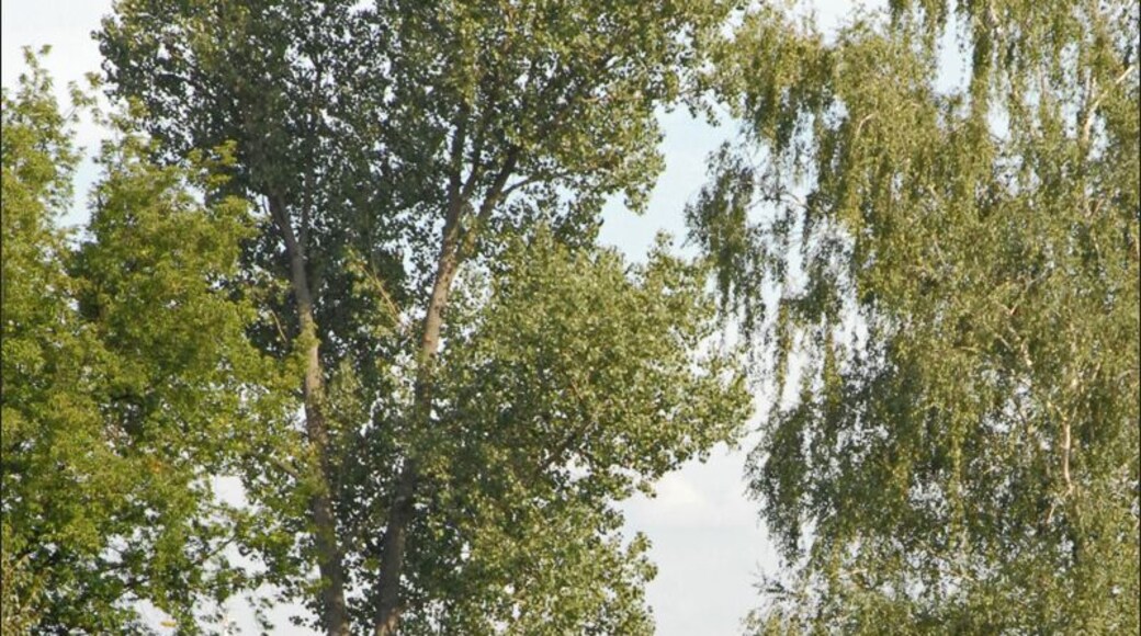La région de Wannsee est propice à la détente, c'est un lieu de baignade, de voile et de tourisme très fréquenté. Une grande plage a été aménagée au début des années 30 pour favoriser le sport. Autour du lac, la haute bourgeoisie berlinoise a fait construire de somptueuses villas dès la fin du 19ème siècle.