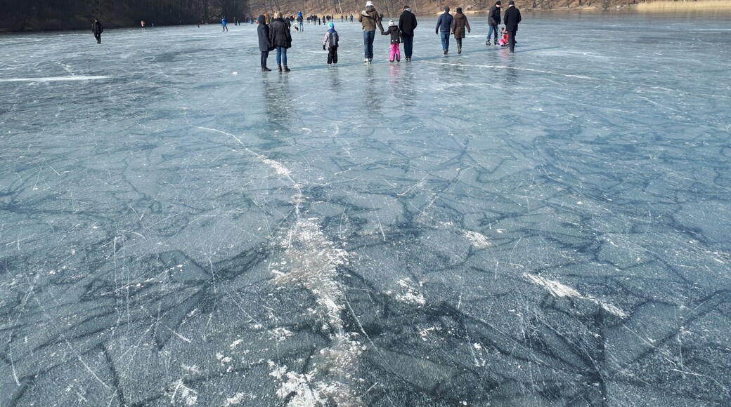 Zehlendorf Schlachtensee im Winter