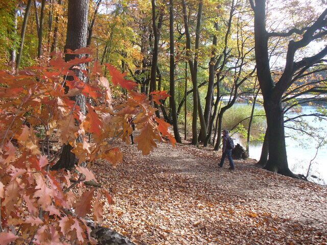 Herbst beim Schlachtensee (Autumn Beside the Schlachtensee)