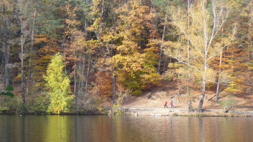 Schlachtensee - Uferweg (Shoreline Path)