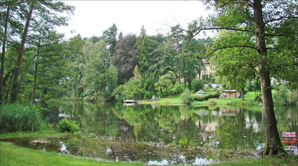 Le jardin au bord du lac du centre d'art "Haus am Waldsee" Le centre d'art "Haus am Waldsee", situé en bordure du lac Waldsee, a été l'un des premiers en Allemagne de l'Ouest à diffuser de l'art contemporain après la guerre. Le centre dispose d'une villa avec des salles d'exposition et d'un parc dans lequel des sculptures sont présentées. Dans le parc, on peut visiter le Loftcube de Werner Aisslinger, une maison en verre habitable et mobile, construite sur pilotis. Site du centre d'art contemporain Haus am waldsee www.hausamwaldsee.de/index.php?lang=en Photo Annie dalbéra