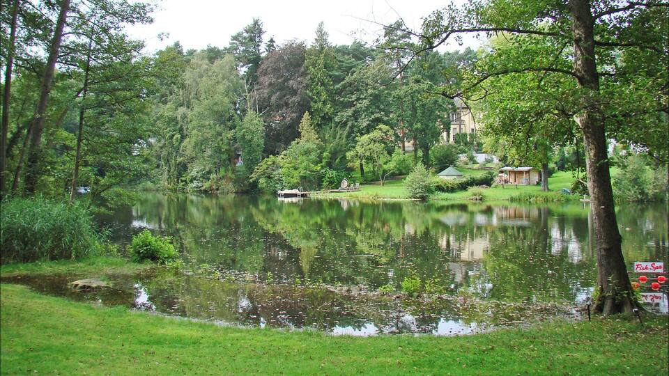 Le jardin au bord du lac du centre d'art "Haus am Waldsee" Le centre d'art "Haus am Waldsee", situé en bordure du lac Waldsee, a été l'un des premiers en Allemagne de l'Ouest à diffuser de l'art contemporain après la guerre. Le centre dispose d'une villa avec des salles d'exposition et d'un parc dans lequel des sculptures sont présentées. Dans le parc, on peut visiter le Loftcube de Werner Aisslinger, une maison en verre habitable et mobile, construite sur pilotis. Site du centre d'art contemporain Haus am waldsee www.hausamwaldsee.de/index.php?lang=en Photo Annie dalbéra