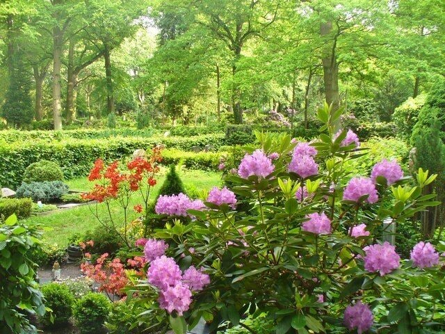 Berlin-Steglitz - Friedhof (Cemetery)