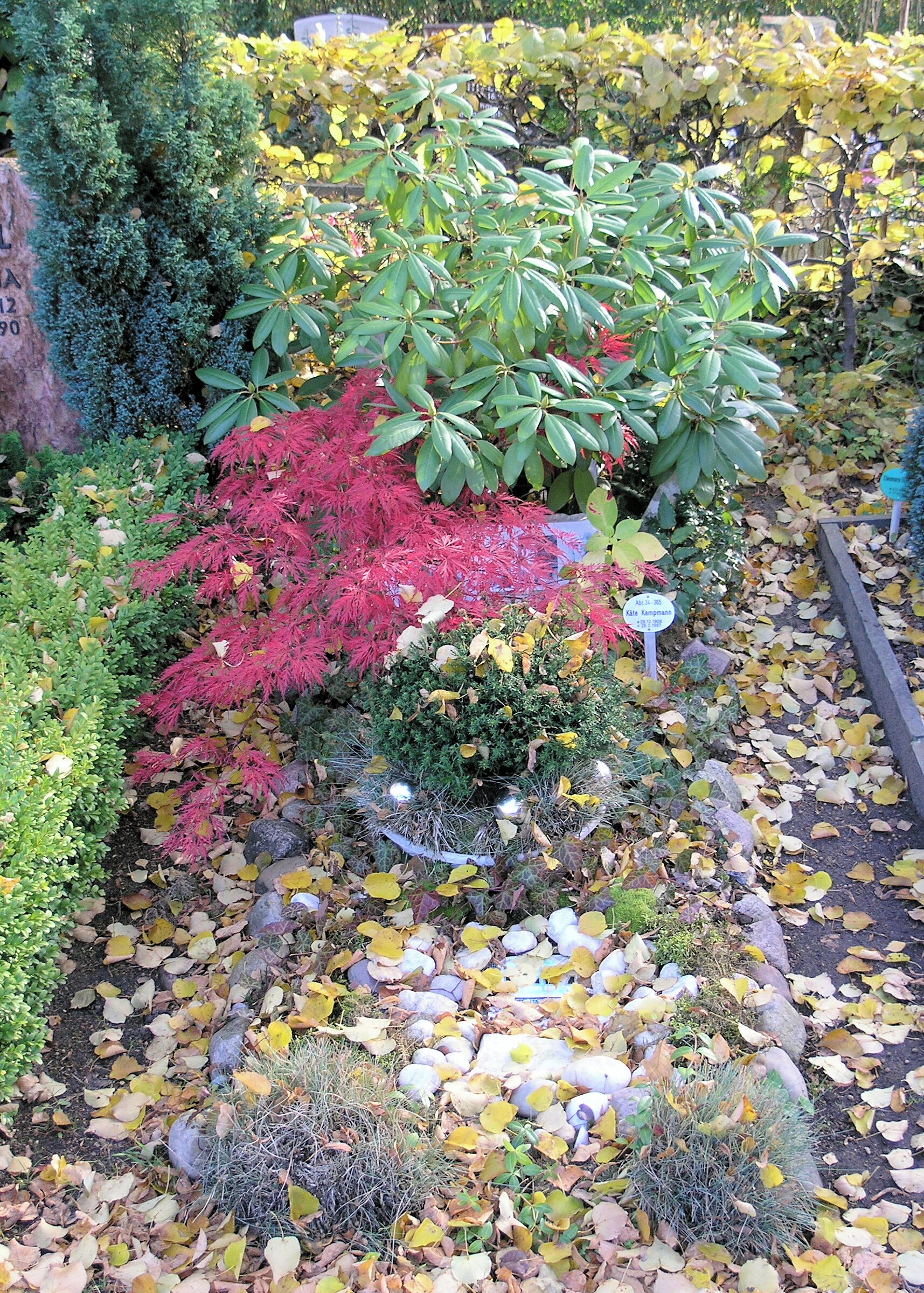 Graves, Käte Kampmann, Stubenrauchstraße 43-45, Berlin-Friedenau, Germany