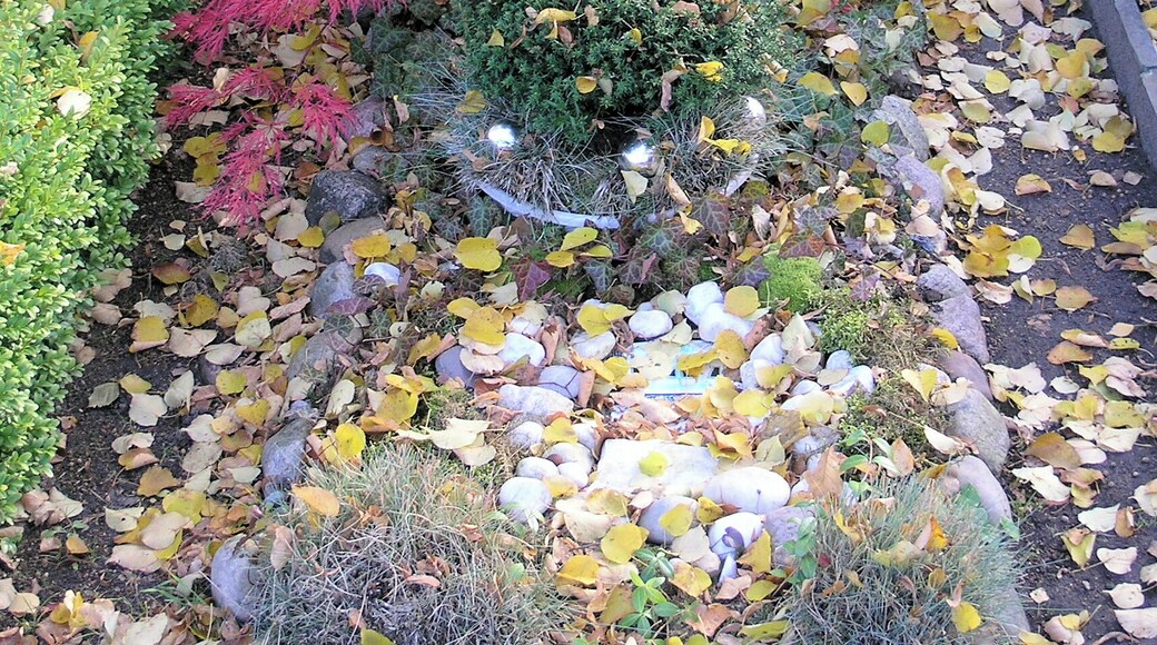 Graves, Käte Kampmann, Stubenrauchstraße 43-45, Berlin-Friedenau, Germany