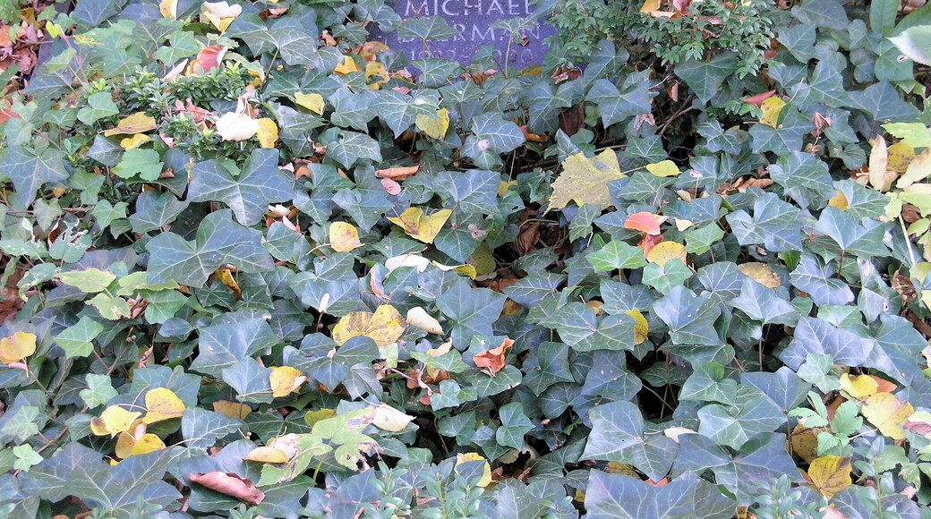 Graves, Michael Beerman, Stubenrauchstraße 43-45, Berlin-Friedenau, Germany