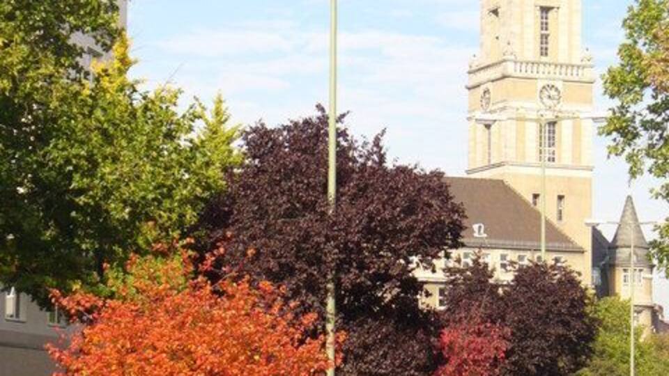 A street with autumn-colored trees, a street lamp, and a tower in the background.