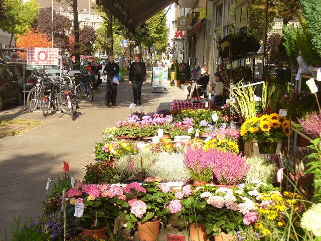 Friedenau - Rheinstrasse