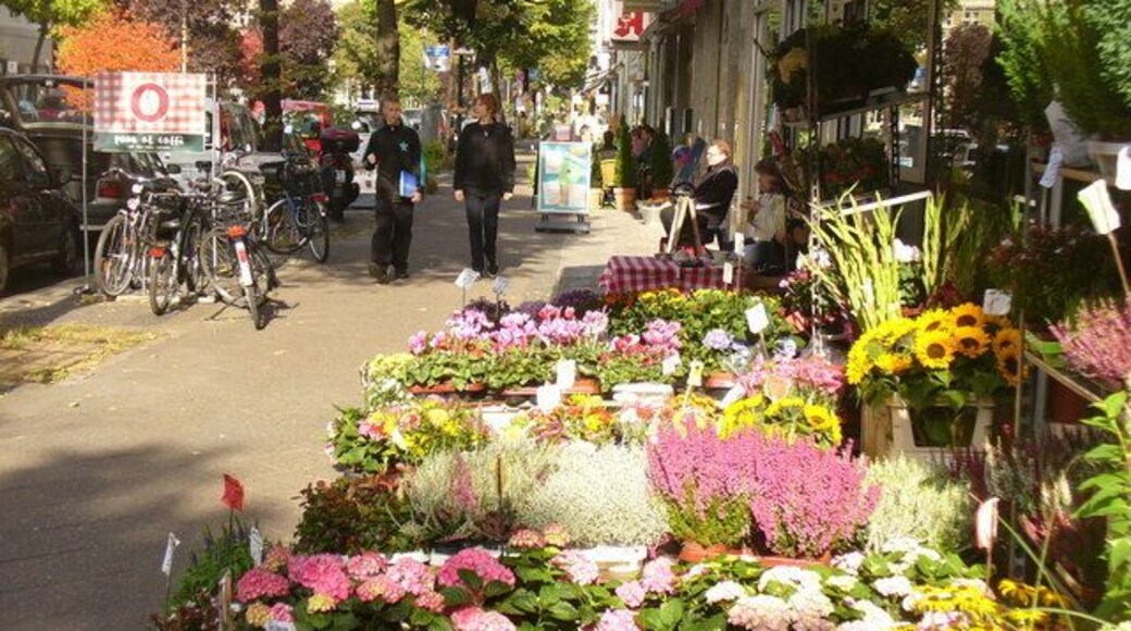 Friedenau - Rheinstrasse