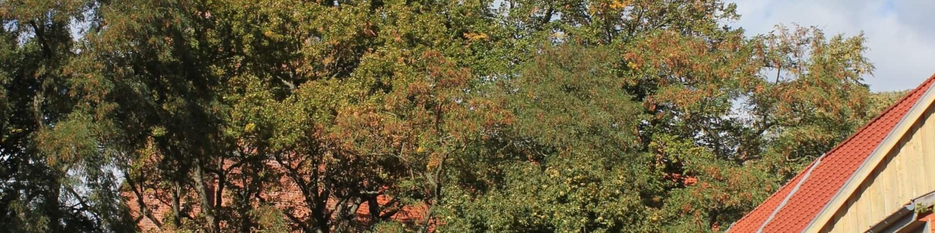 Marijina cyrkej w Röbelu při Moricy, Mecklenburgsko-Předpomorska.