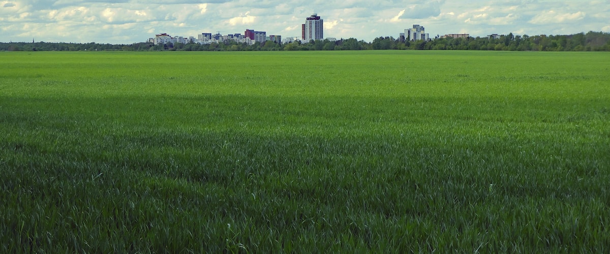 A vast green field with a city skyline in the distance.