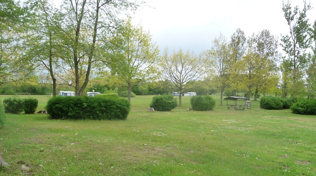 Campingplatz Alt Reddevitz Mai 14ÂŽ