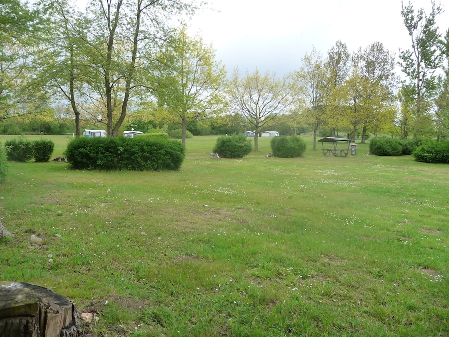 Een grasveld met bomen en een picknicktafel.