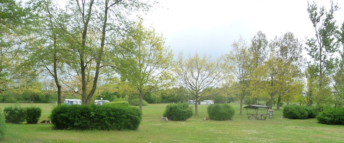 A grassy field with trees and a picnic table.