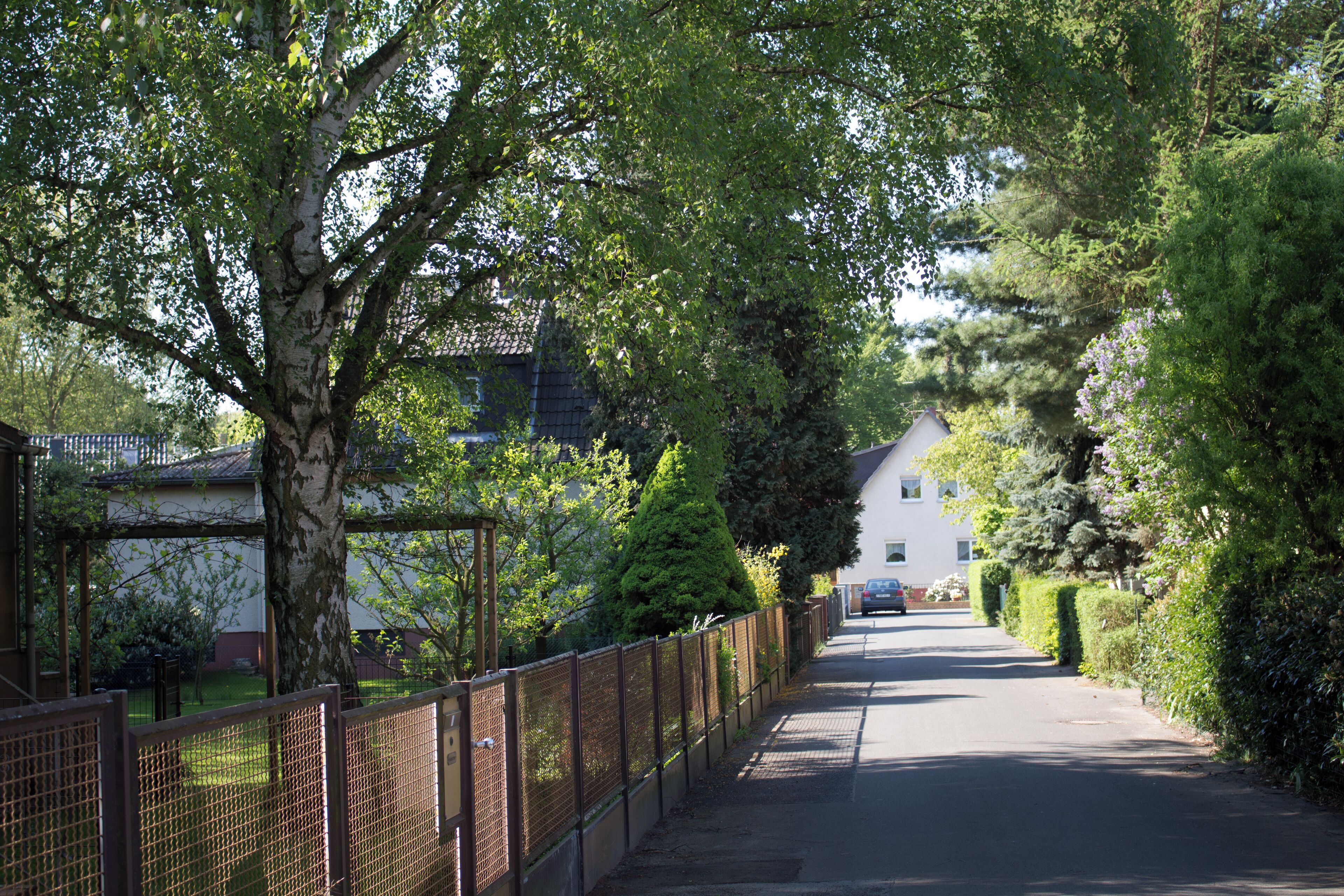 Nebenstraße der Rhinstraße in Berlin-Lichtenrade
