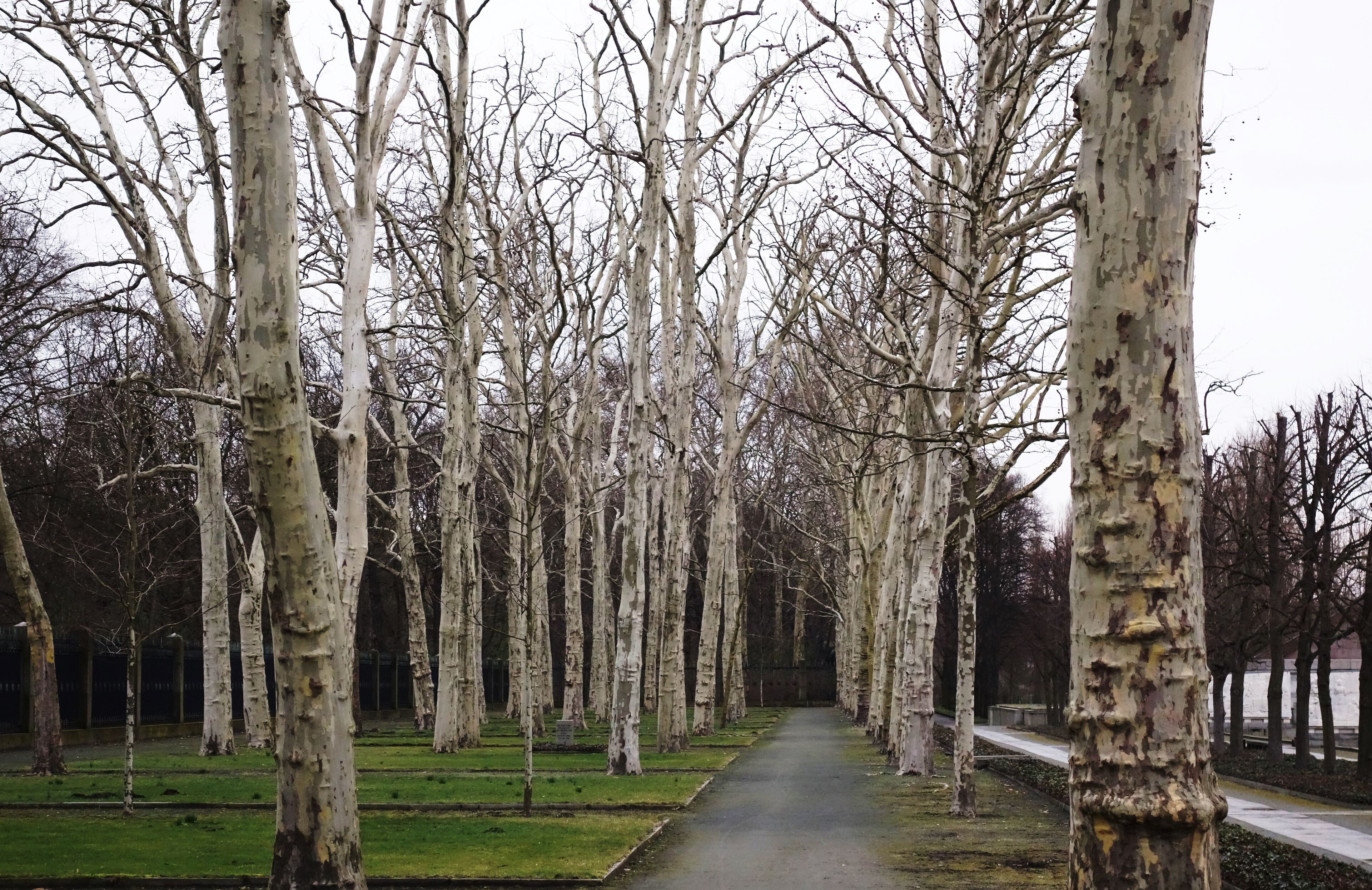 Sowjetisches Ehrenmal Treptow