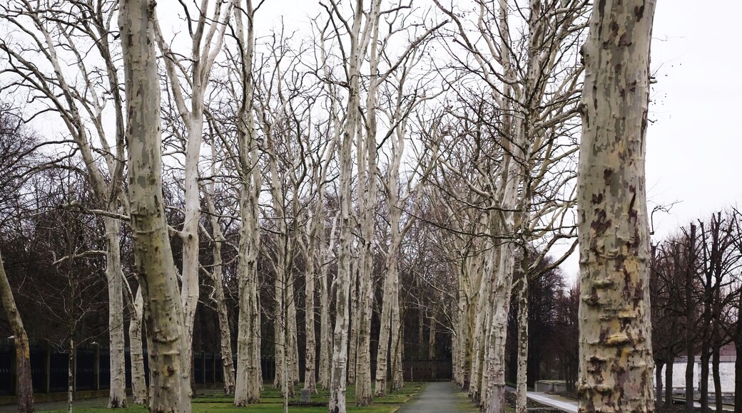 Sowjetisches Ehrenmal Treptow