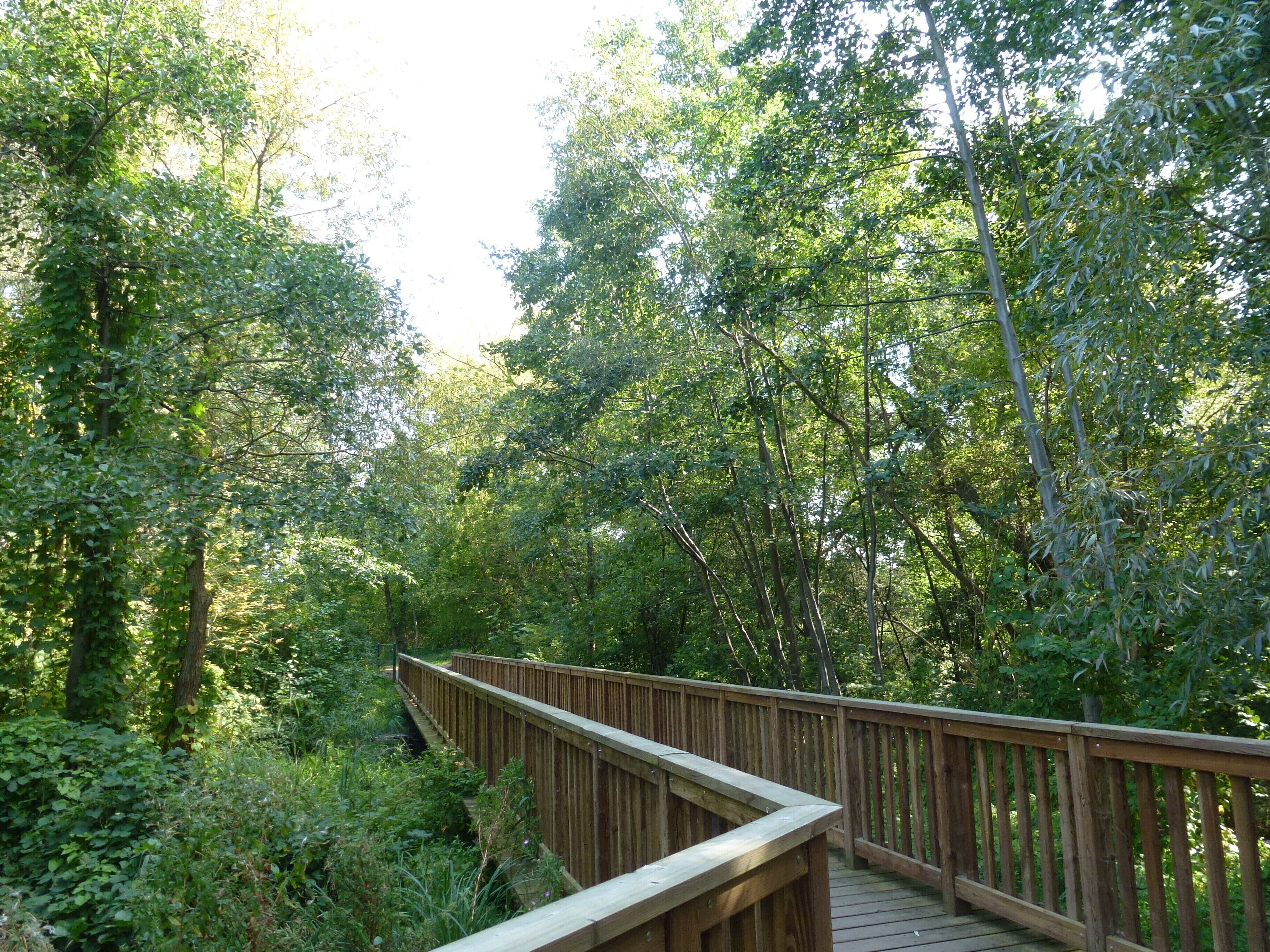 Berlin-Rudow Rudower Fließ