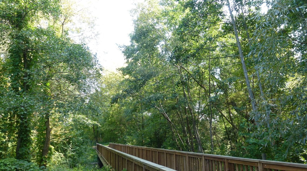 Berlin-Rudow Rudower Fließ