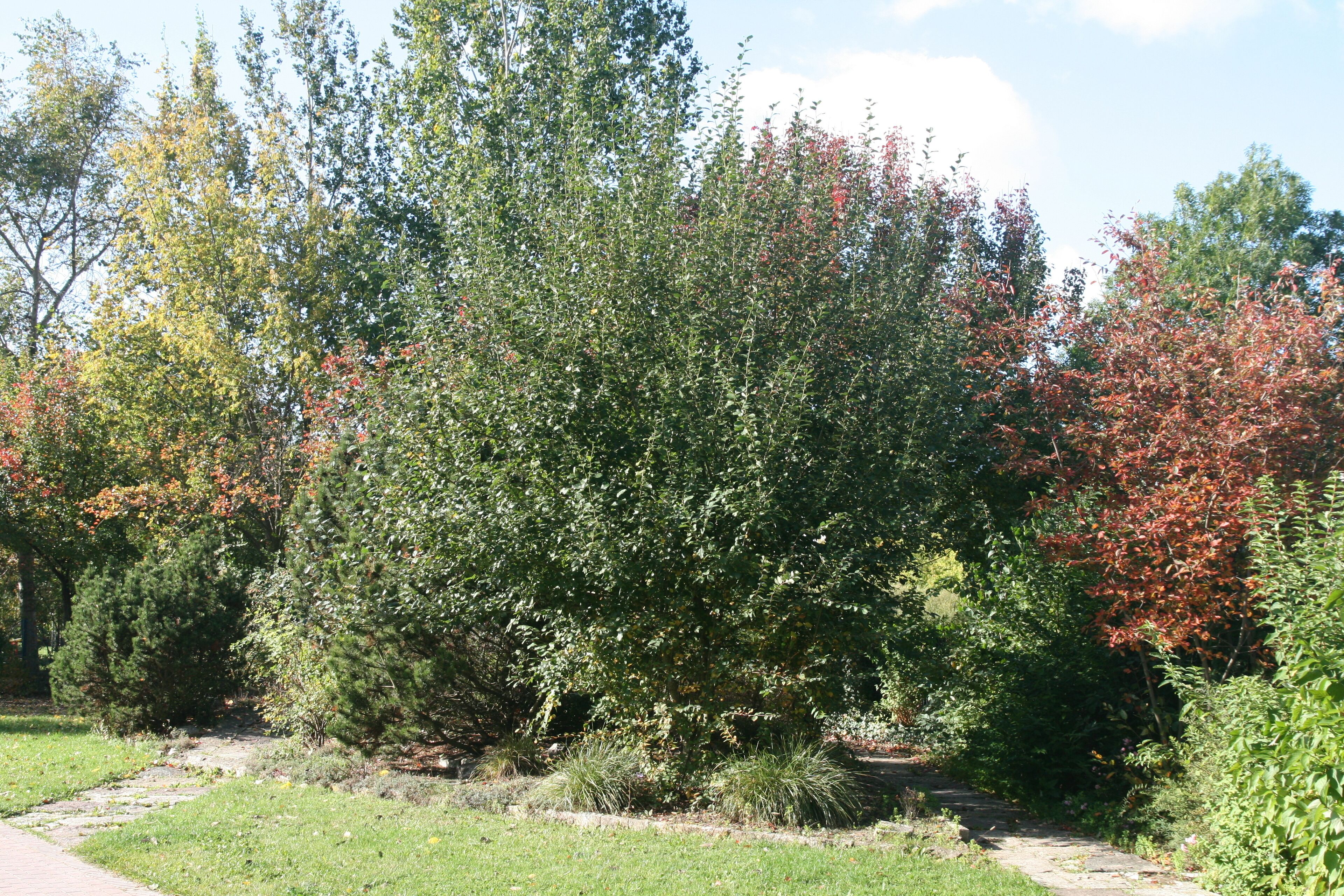 Sonnenweg - Steingarten