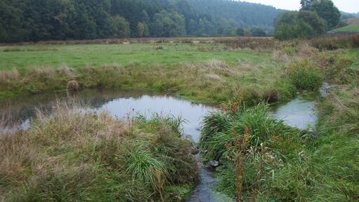 Wetschaft in the Henzeried near Rosenthal-Roda, Germany