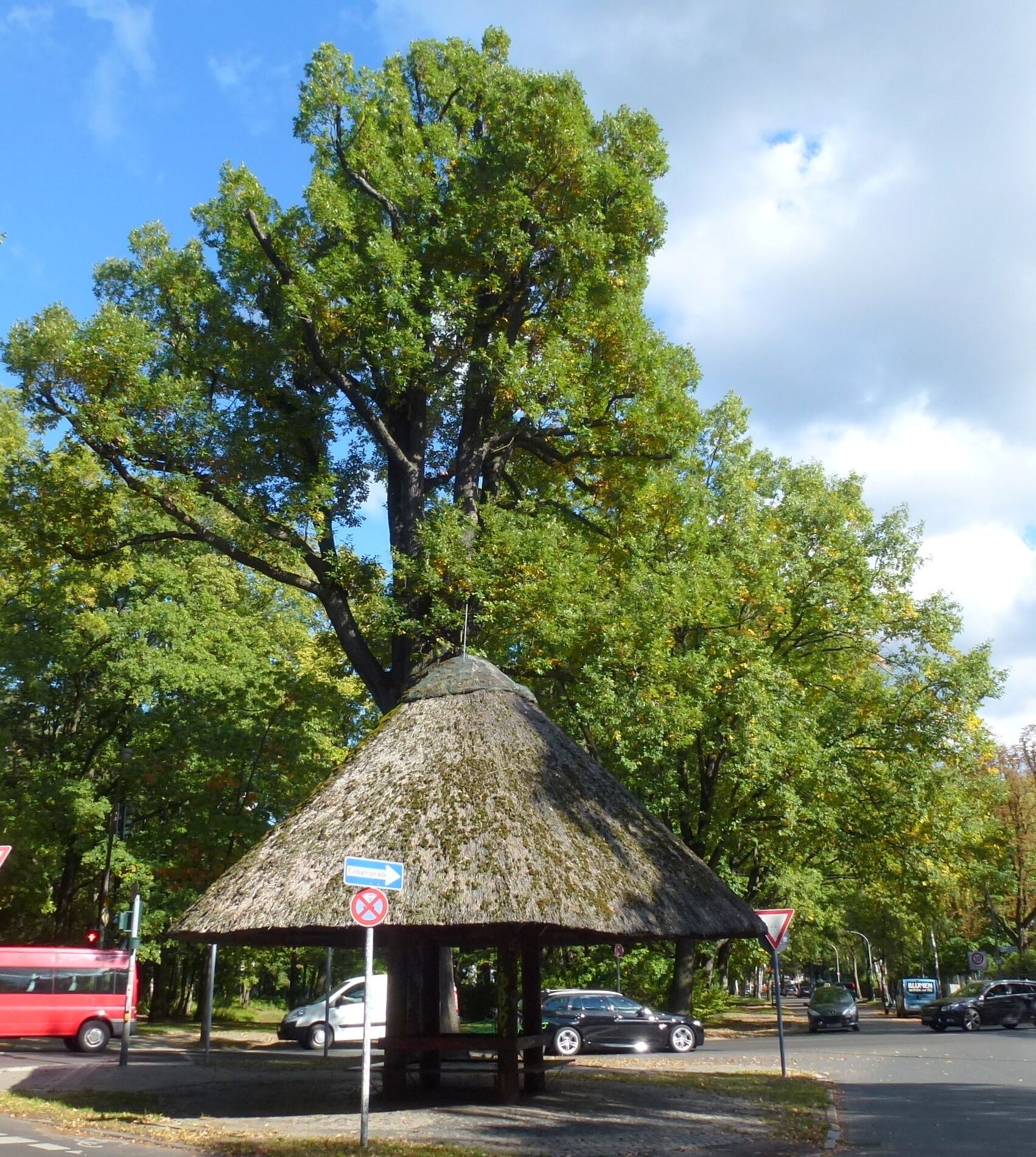 Berlin-Frohnau Eiche Am Pilz