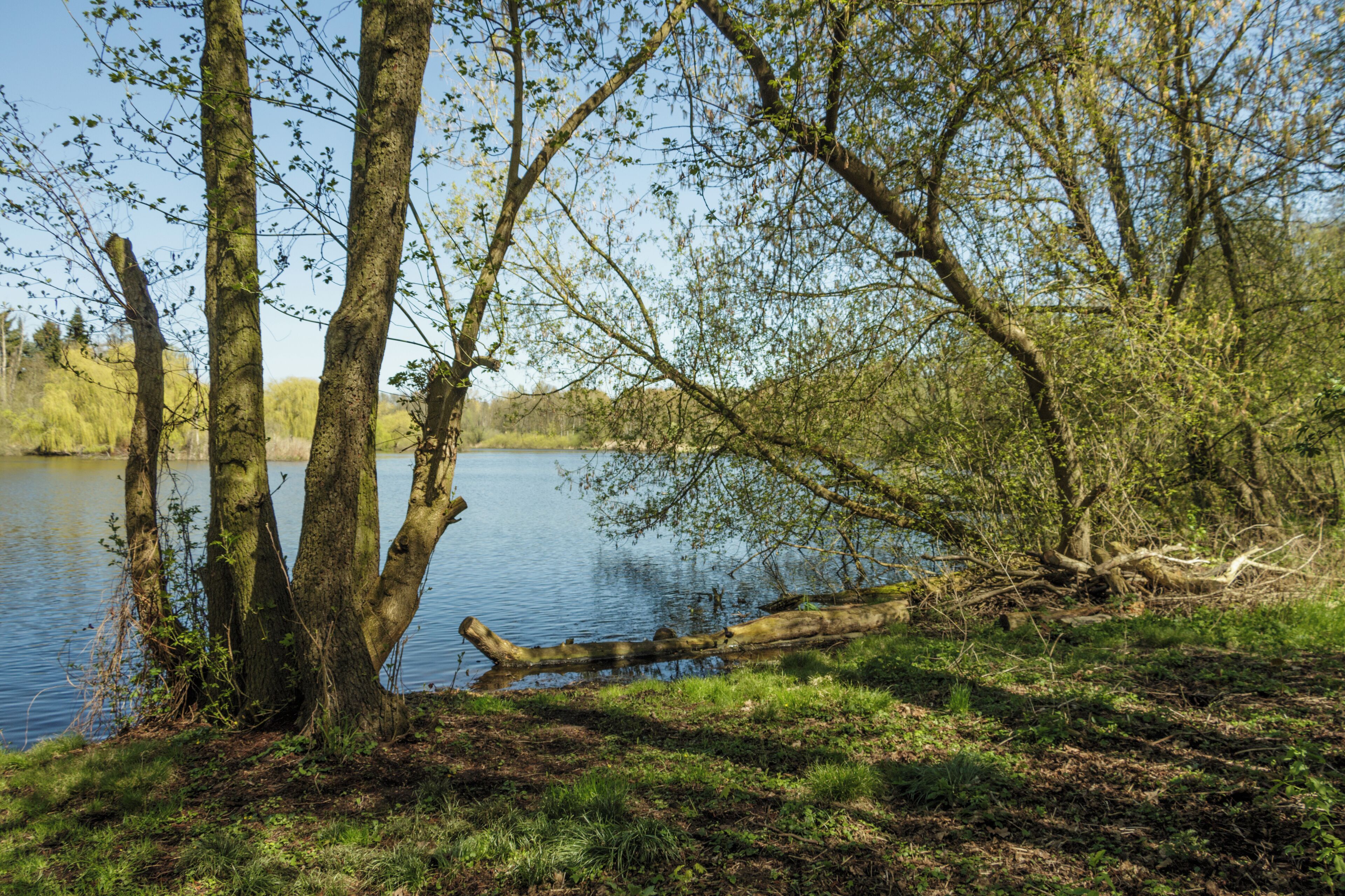 Der Hermsdorfer See in Richtung Lübars; Landschaftsschutzgebiet „Tegeler Fließ“ in Berlin