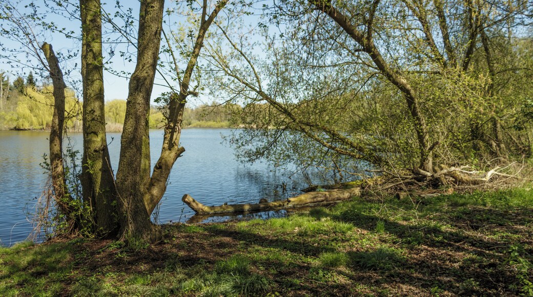 Der Hermsdorfer See in Richtung Lübars; Landschaftsschutzgebiet „Tegeler Fließ“ in Berlin