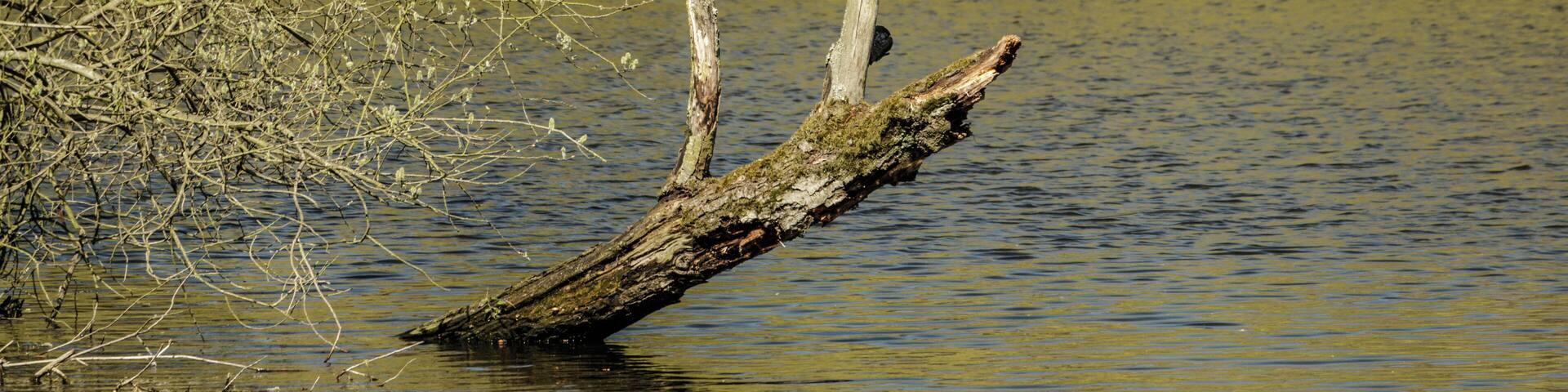 Der Hermsdorfer See in Richtung Lübars; Landschaftsschutzgebiet „Tegeler Fließ“ in Berlin