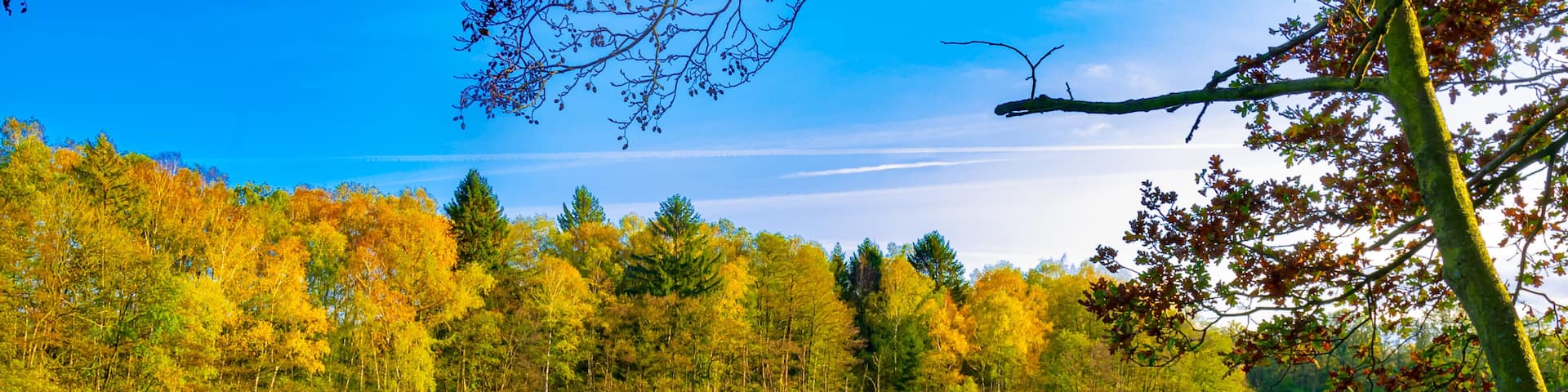 Autumn, landscape, Lüneburg Heath, Germany - A fantastic reflection of the brightly colored leaves of the trees in Lopausee, on a sunny day in golden October.
