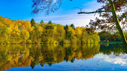 Autumn, landscape, Lüneburg Heath, Germany - A fantastic reflection of the brightly colored leaves of the trees in Lopausee, on a sunny day in golden October.