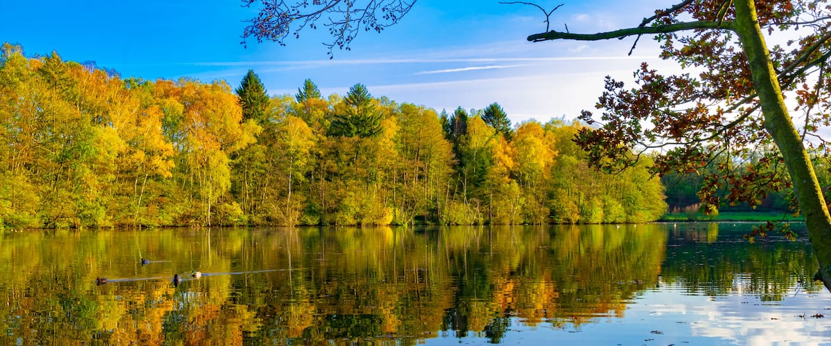 A calm lake surrounded by autumn-colored trees and a clear blue sky.