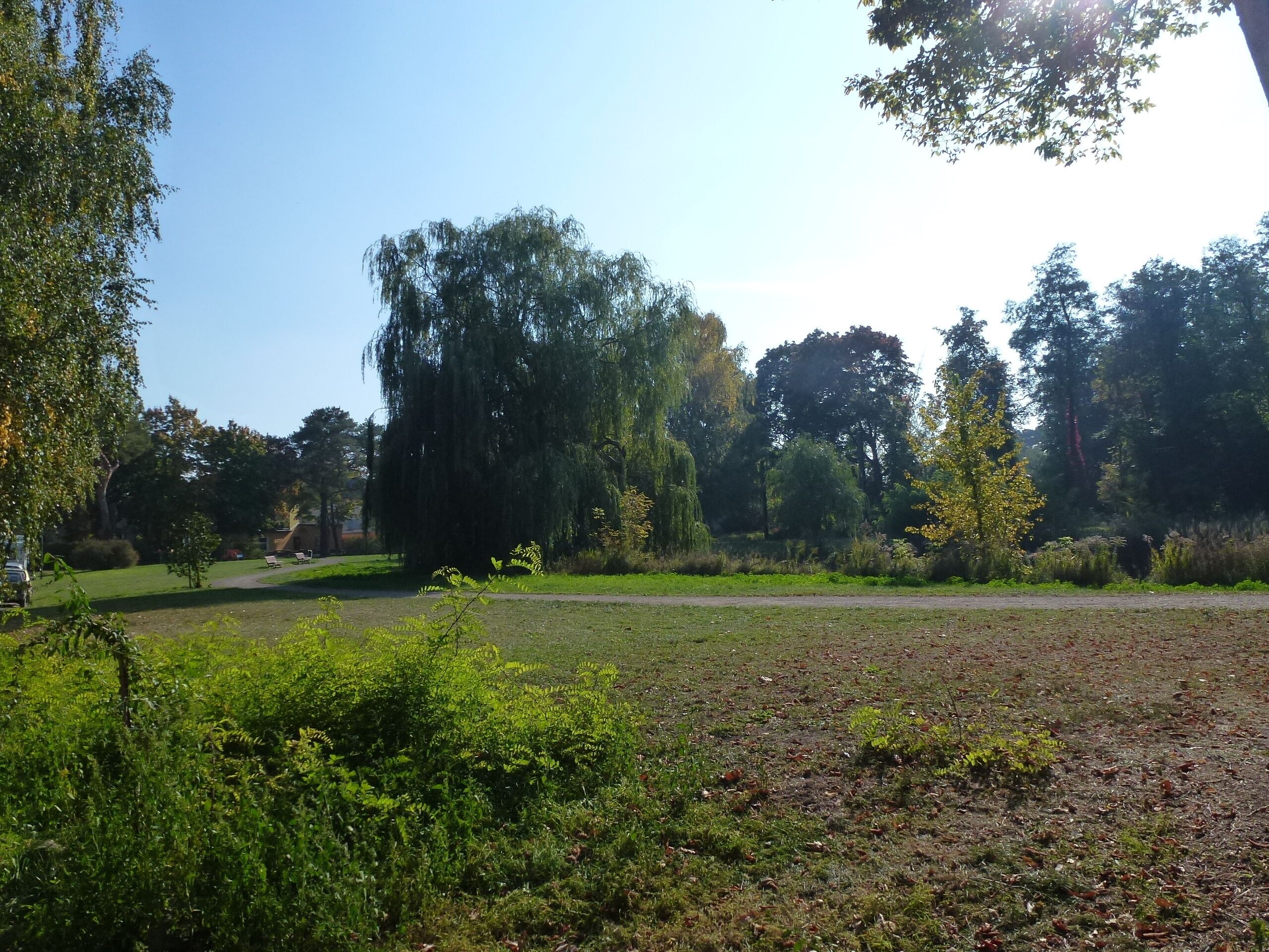 Berlin-Schmöckwitz Rehfeldtstraße Grünanlage