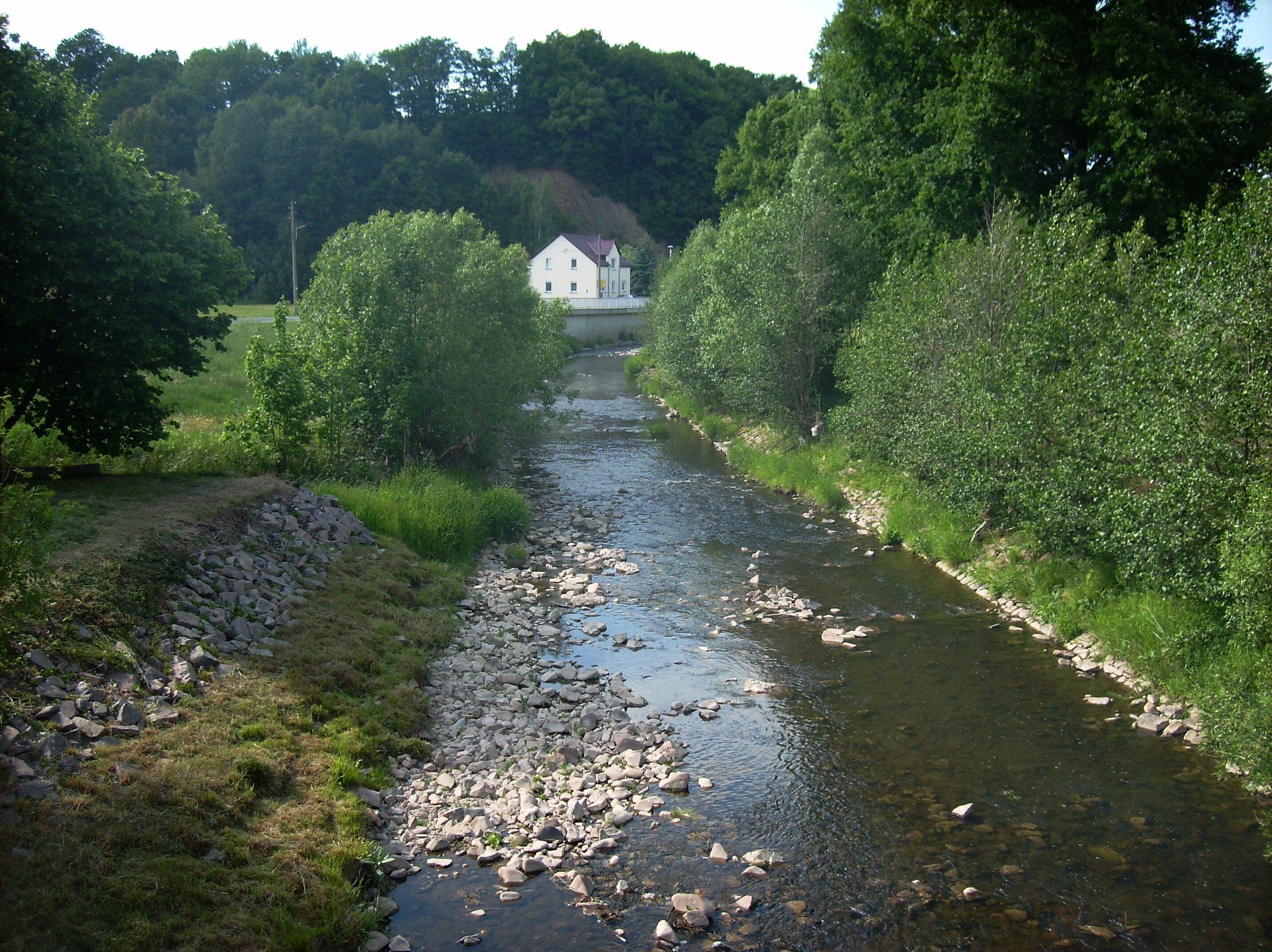 A river with rocks and trees on both sides, a white building in the distance, and a hill with dense trees.