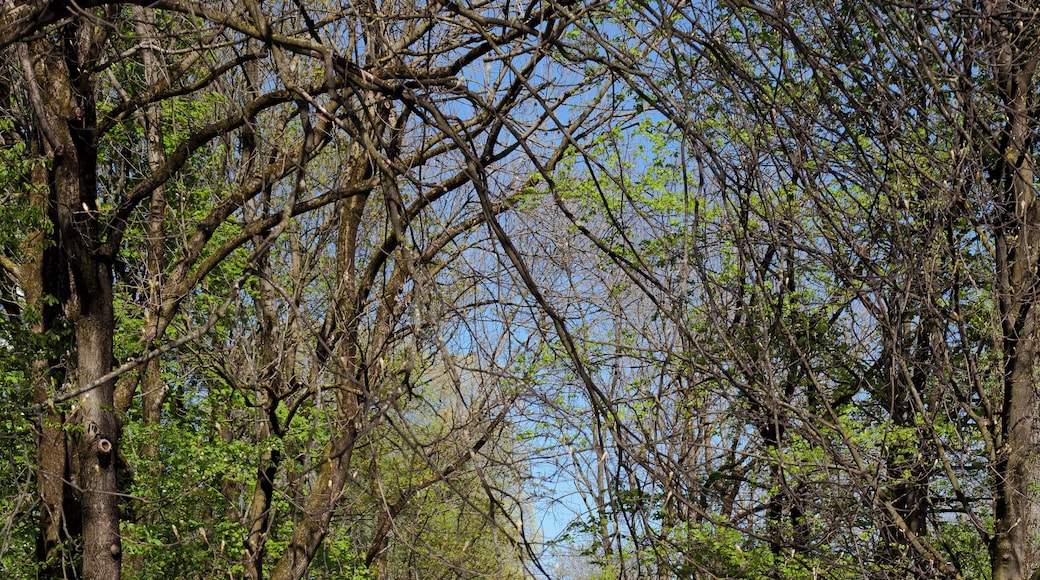 Olympiapark, Munich, Germany.