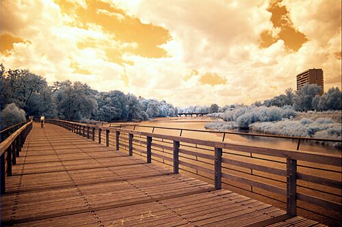 Example for an infrared photography with manual white balance